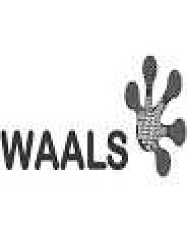 Logo of WAALS