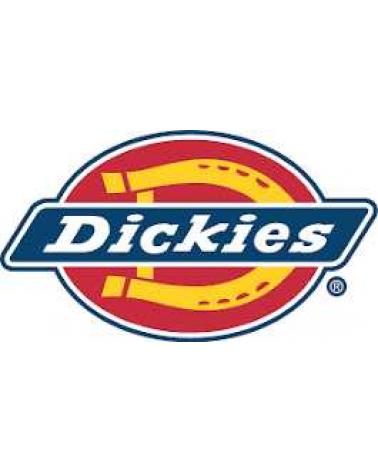 Logo of DICKIES