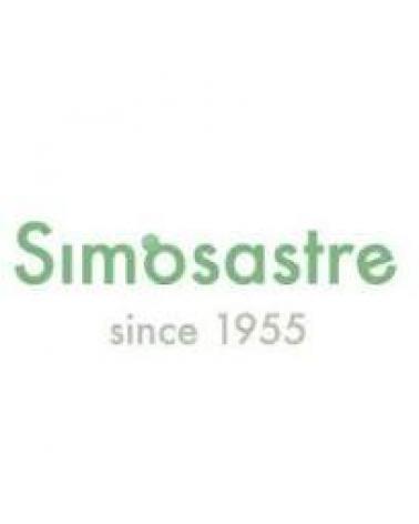 Logo of SIMOSASTRE