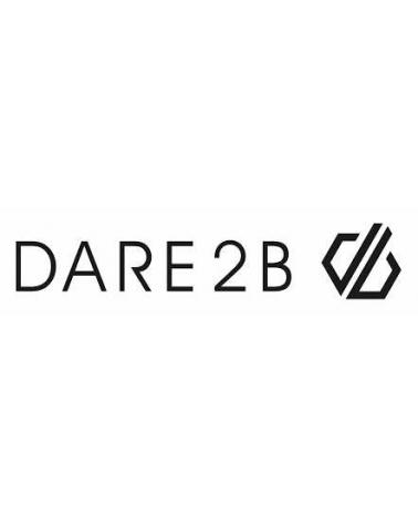 Logo of DARE 2B