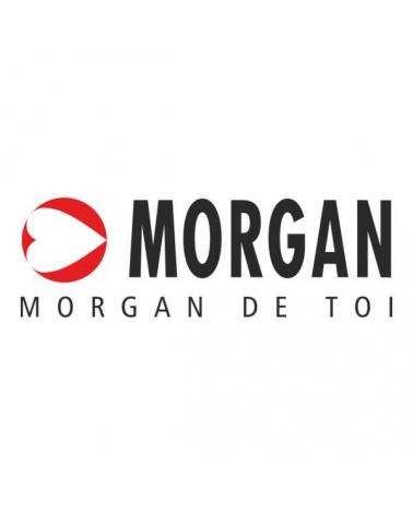 Logo of MORGAN