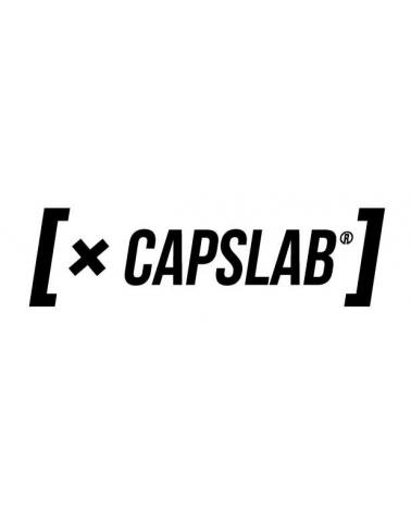 Logo of CAPSLAB