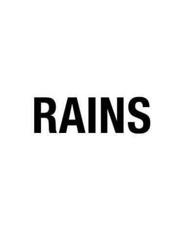 Logo of RAINS
