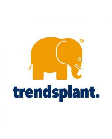 Logo of TRENDSPLANT