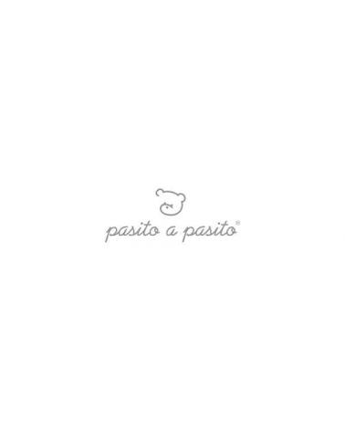 Logo of PASITO A PASITO