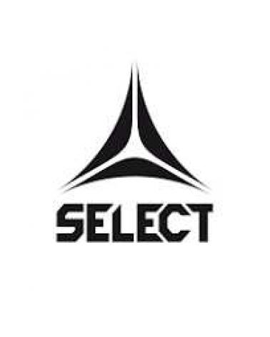 Logo of SELECT