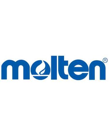 Logo of MOLTEN