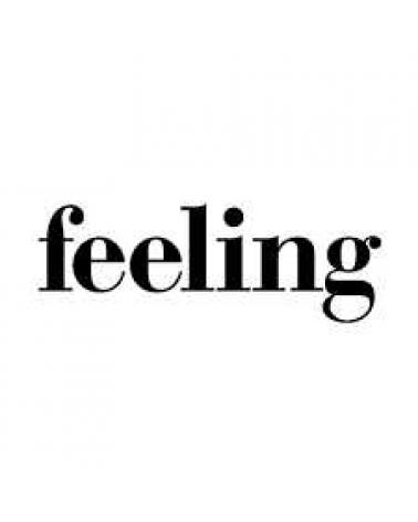 Logo of AND FEELINGS