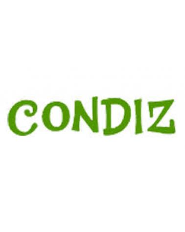 Logo of CONDIZ
