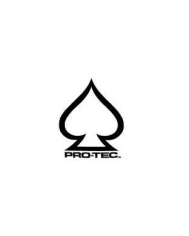 Logo of PRO-TEC