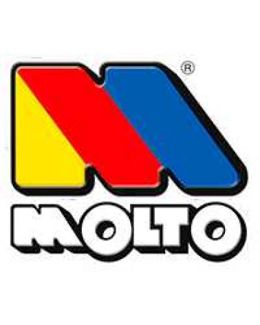 Logo of MOLTO