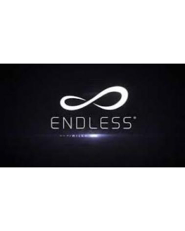 Logo of ENDLESS