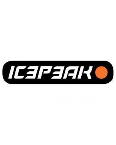 Logo of ICEPEAK
