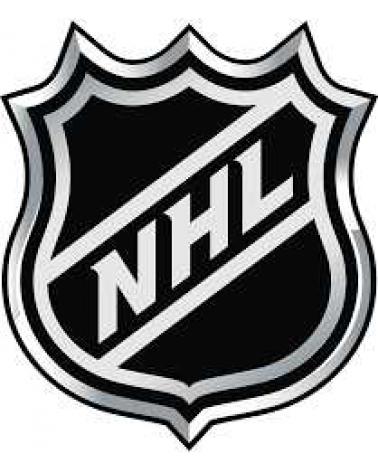 Logo of NHL