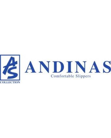 Logo of ANDINAS
