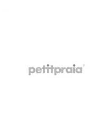 Logo of PETIT PRAIA