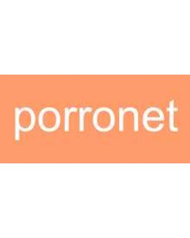 Logo of PORRONET