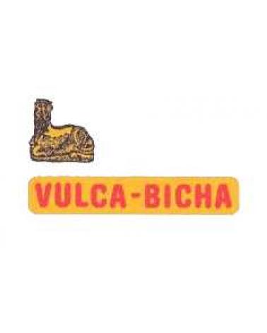 Logo of VULCA-BICHA