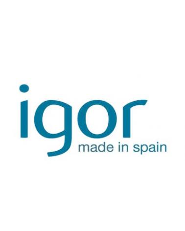 Logo of IGOR