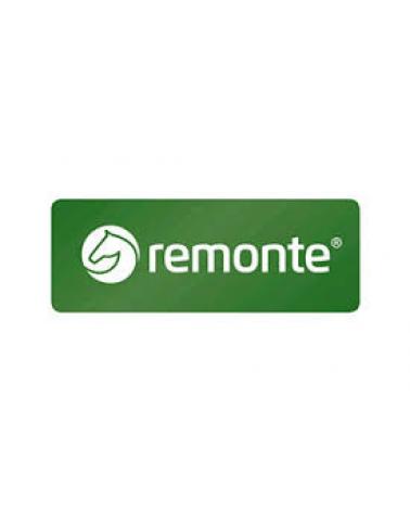 Logo of REMONTE