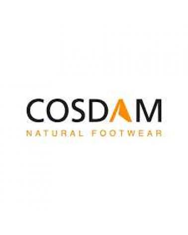 Logo of COSDAM