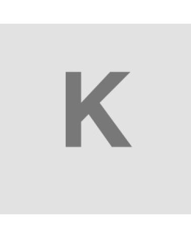 Logo de DAMESA
