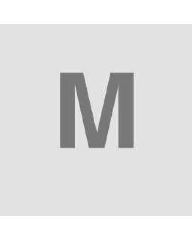 Logo de MUSSOL