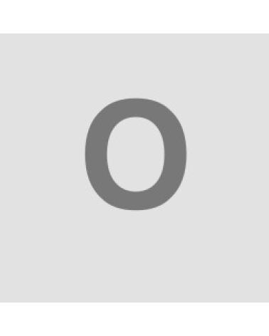 Logo de BRUGUER