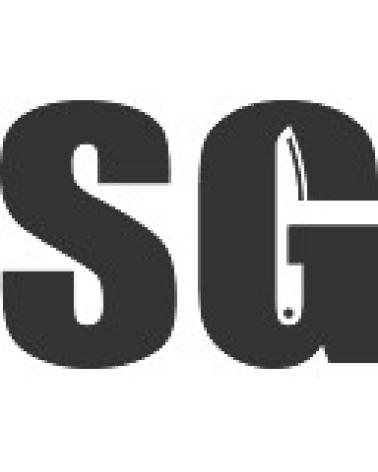 Logo de FERPASA