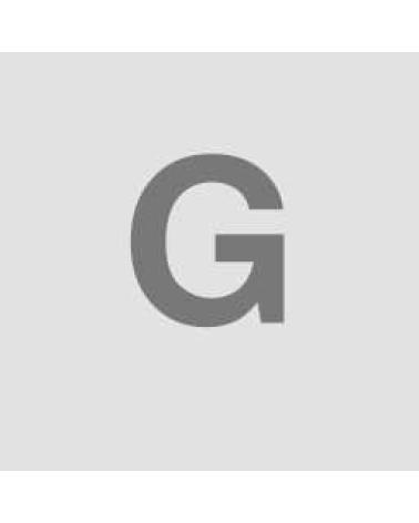 Logo de GEKO