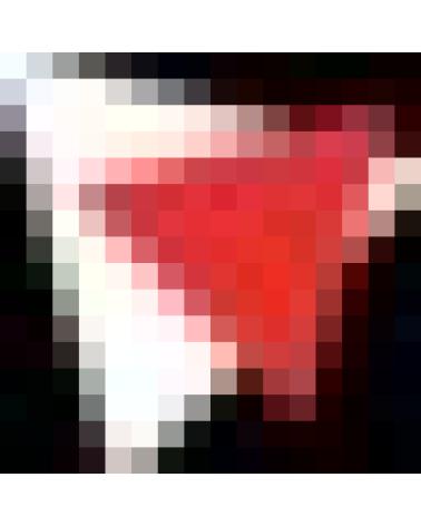 Logo de GARTES