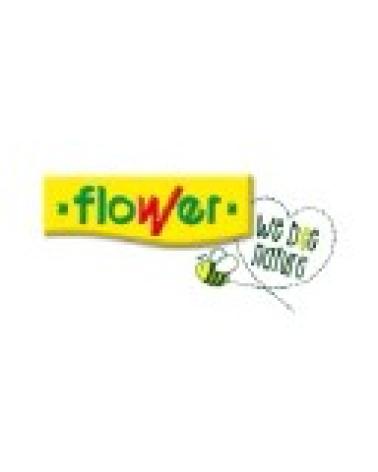 Logo de FLOWER