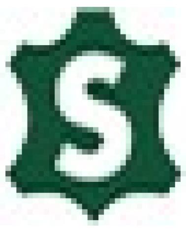 Logo de SATEXO