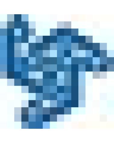 Logo de LIDER