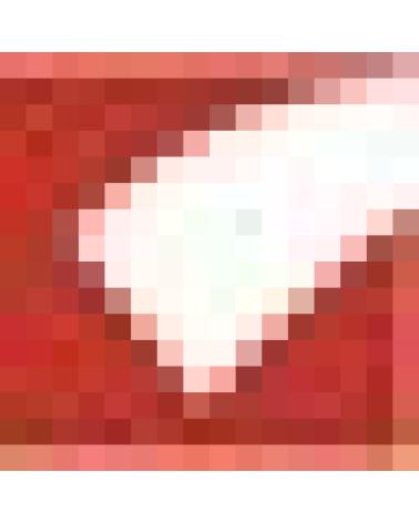 Logo de MIARCO