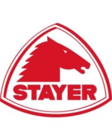 Logo de STAYER