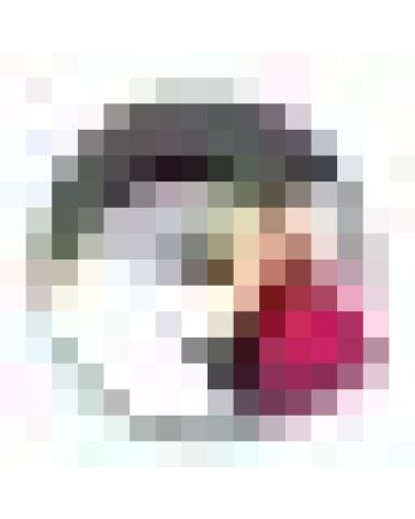 Logo de SAGASTUME