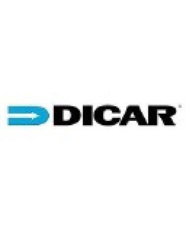 Logo de DICAR