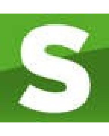 Logo de SALKI
