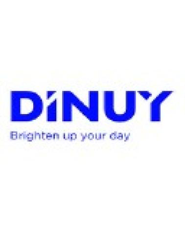 Logo de DINUY
