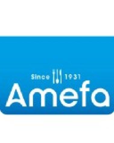 Logo de AMEFA