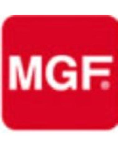 Logo de MAGEFESA