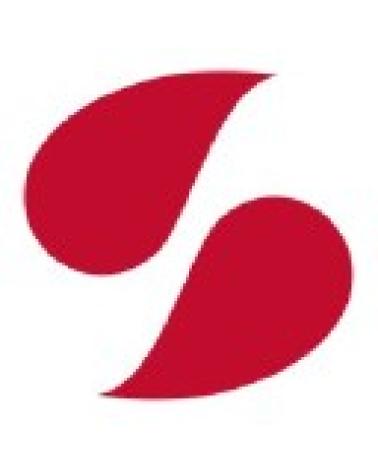 Logo de PASABAHCE