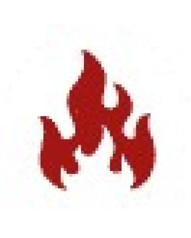 Logo de BBQ