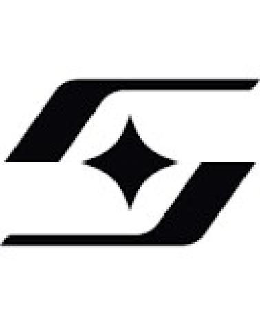 Logo de SHINY