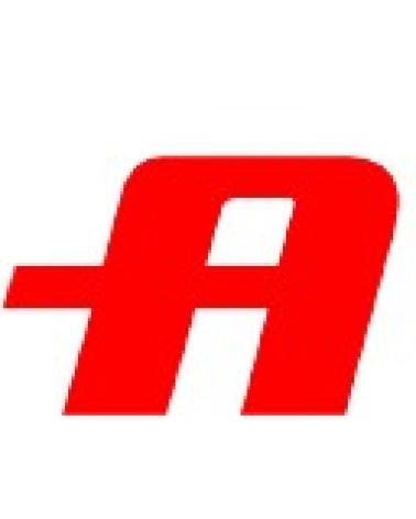 Logo de ARIETE