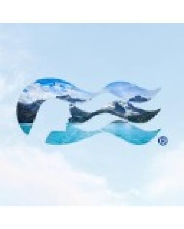 Logo de PRINCESS