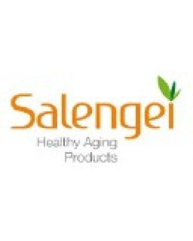 Logo de SALENGEI