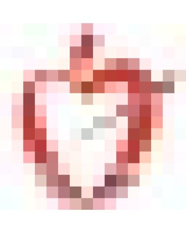 Logo de AGUSTINOS