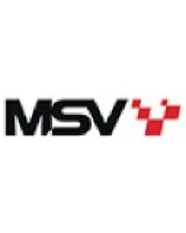 Logo de MSV